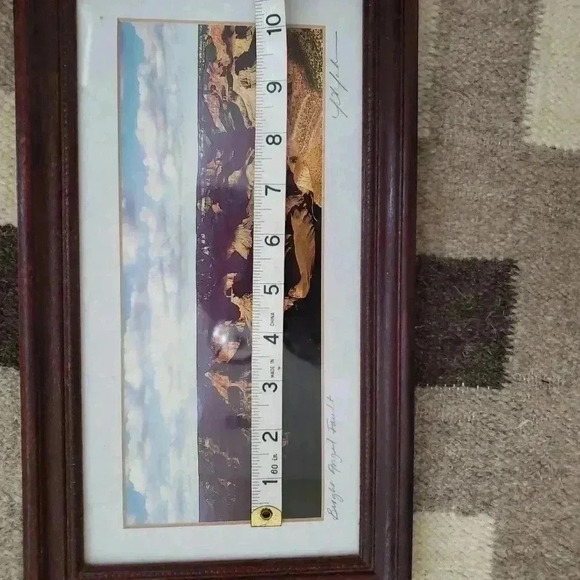 Photo signed matted framed J Johnson Grand Canyon Bright Angel Fault - Picture 7 of 10